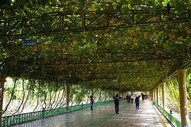 《死亡搁浅2》公开角色海报 还有更多角色尚未公布